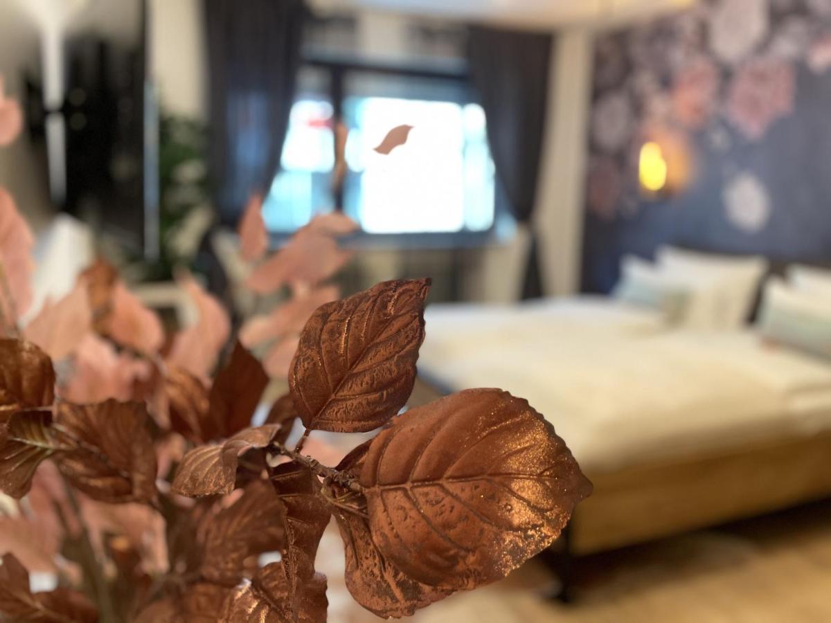 Boutique Apartment Am Bahnhof Freiburg im Breisgau Dış mekan fotoğraf