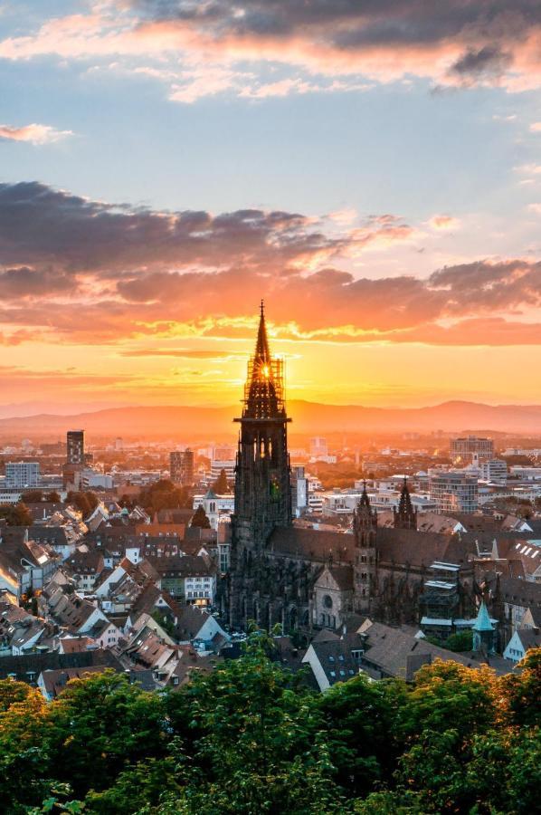 Boutique Apartment Am Bahnhof Freiburg im Breisgau Dış mekan fotoğraf